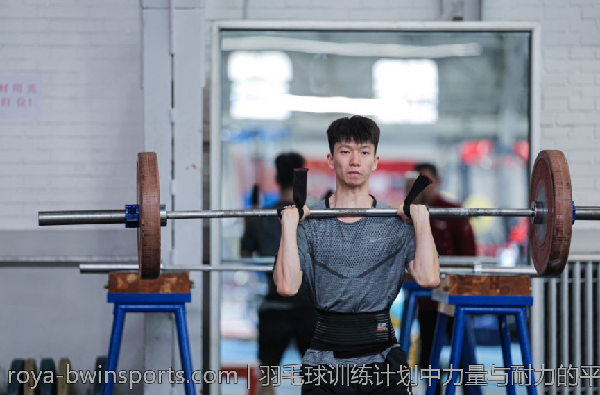 羽毛球训练计划中力量与耐力的平衡方法