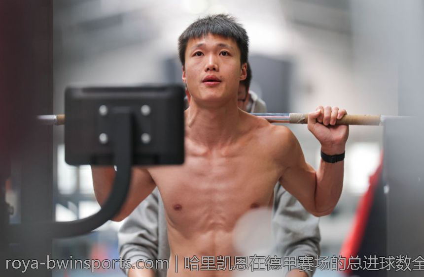 哈里凯恩在德甲赛场的总进球数全景分析
